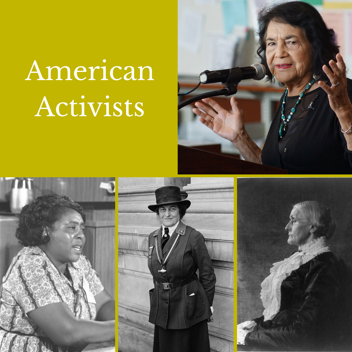 american-activists-national-women-s-history-museum