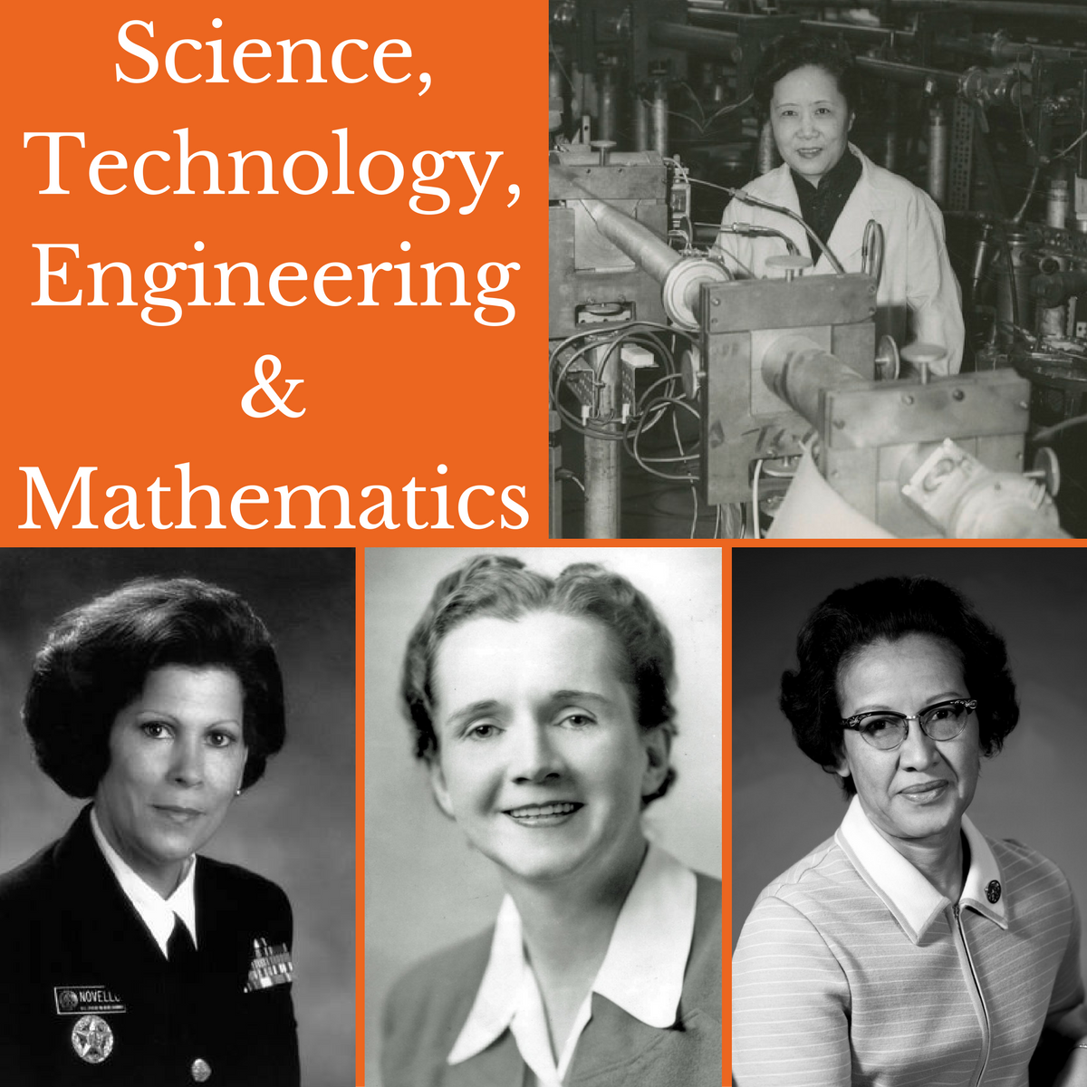 Science, Technology, Engineering, And Mathematics (STEM) | National ...