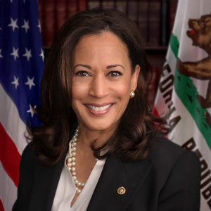 Kamala Harris: The Vice President